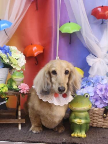 20230607そらくん